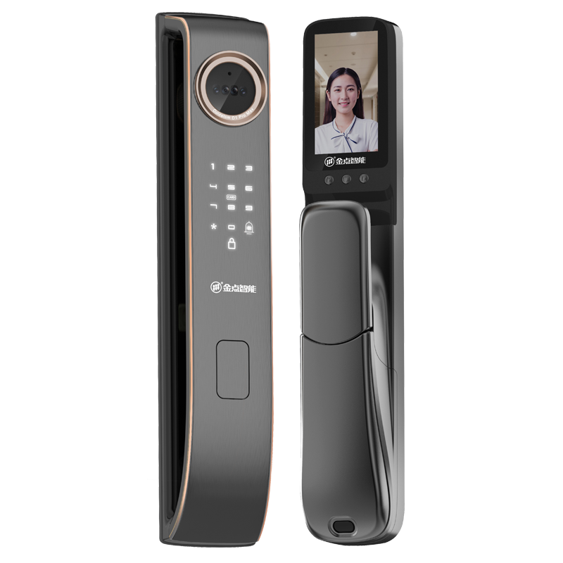 金点原子人脸识别D1全自动指纹锁