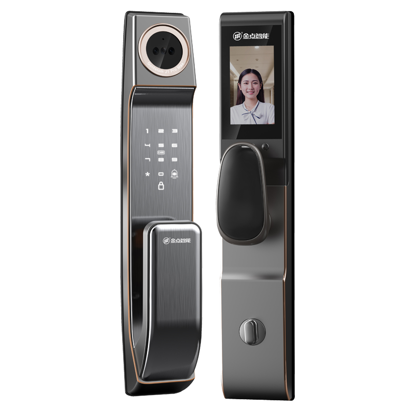 全功能3D人脸监控云锁（标配24*240mm防卡锁体）红古铜和哑光灰